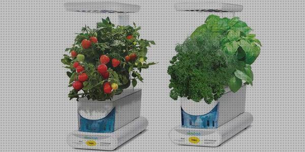 Las mejores kit led led kit de cultivo con luz led