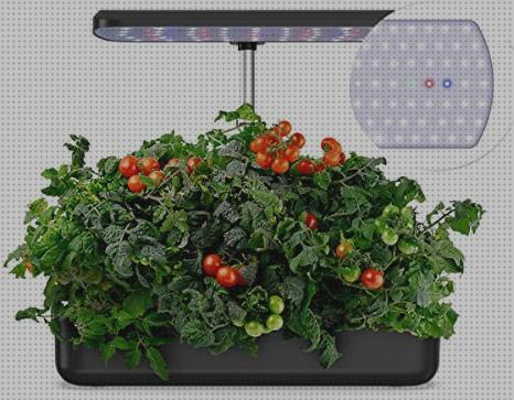 Review de kit de cultivo con luz led