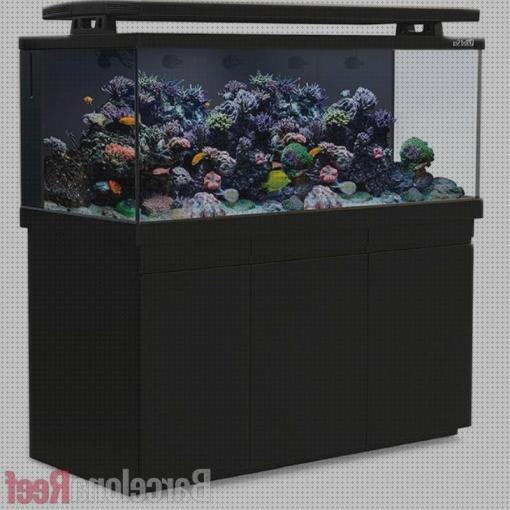 Análisis de los 18 mejores Kit Iluminacion Led Redes Seres