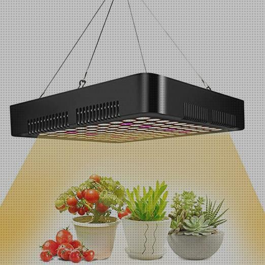 Las mejores leds lampara 300 leds