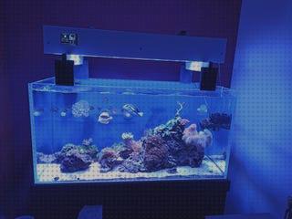 ¿Dónde poder comprar lampara acuario lampara linterna lampara acuario marino 1 metro?