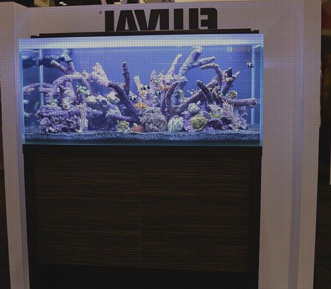 Las mejores lampara acuario lampara linterna lampara acuario marino 1 metro