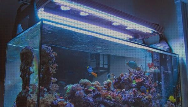 Análisis de las 16 mejores Lamparas Acuarios Marinos 1 Metros