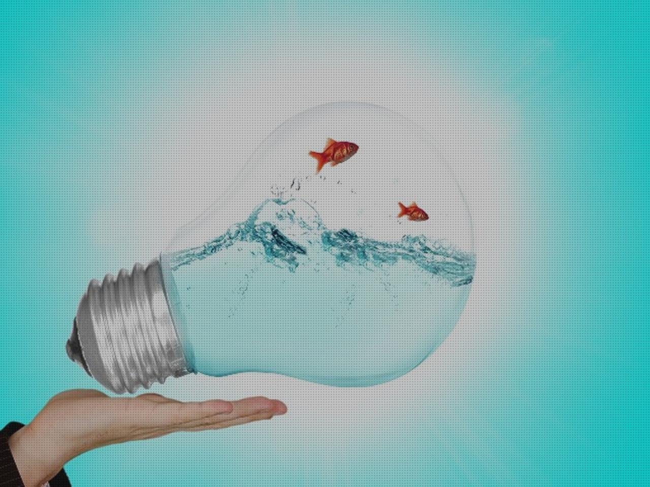 ¿Dónde poder comprar Más sobre lampara nocturna led lámpara led led lampara bulbo led?
