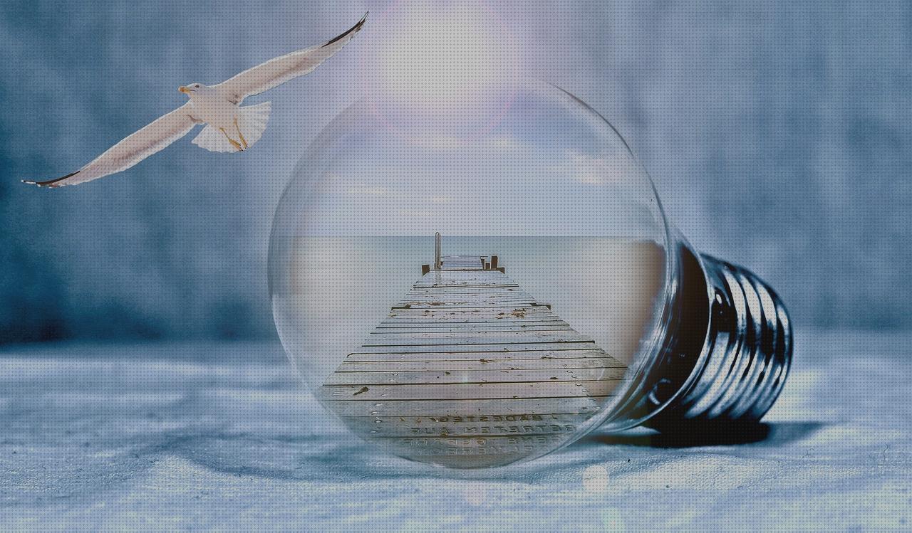 ¿Dónde poder comprar Más sobre lampara isebie Más sobre lampara dyson Más sobre linterna spetton lampara gaviotas?