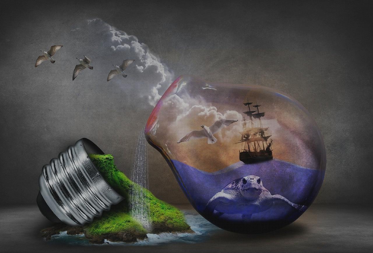 Mejores 26 lamparas gaviotas