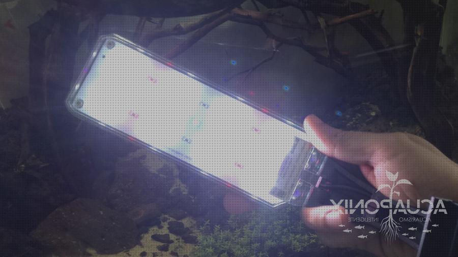 Las mejores lampara techo leds leds lampara leds acuario
