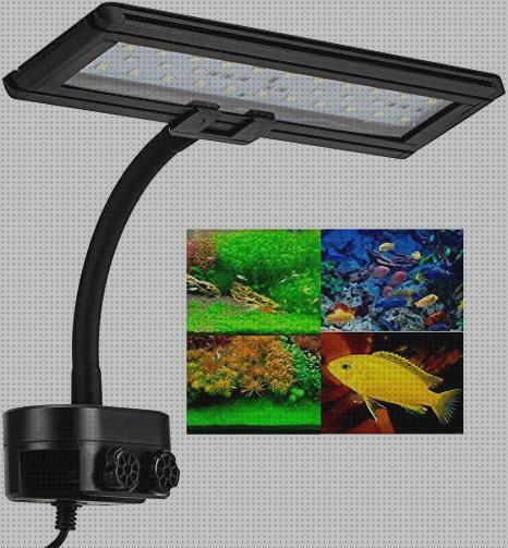 Las 25 Mejores lamparas leds acuarios