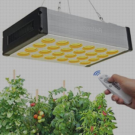 ¿Dónde poder comprar lamparas led led lamparas grow led?