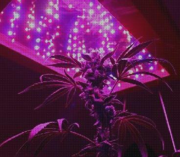 Las mejores lamparas led led lamparas led cannabis