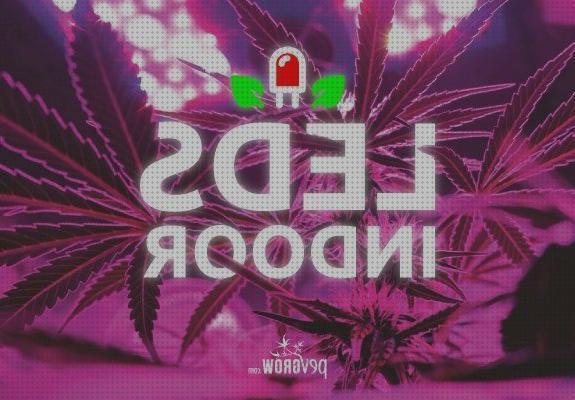Las mejores marcas de lamparas led cannabis lamparas led led lamparas led cultivo cannabis