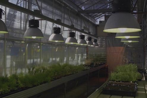 Las mejores marcas de Más sobre lamparas ahorradoras led lamparas led led lamparas led invernadero