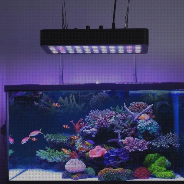 Las mejores marcas de linterna led muchos lumens Más sobre led comprar fita led led acuario 3500 lumens