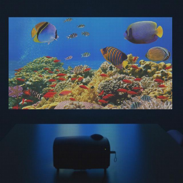 Review de led acuario 3500 lumens