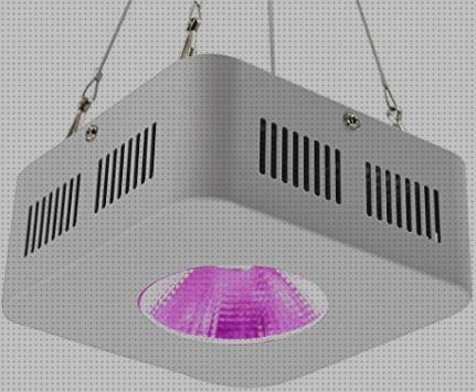 Las mejores led cob led led cob 200w grow