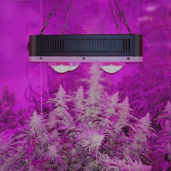¿Dónde poder comprar led cob led led cob cultivo?