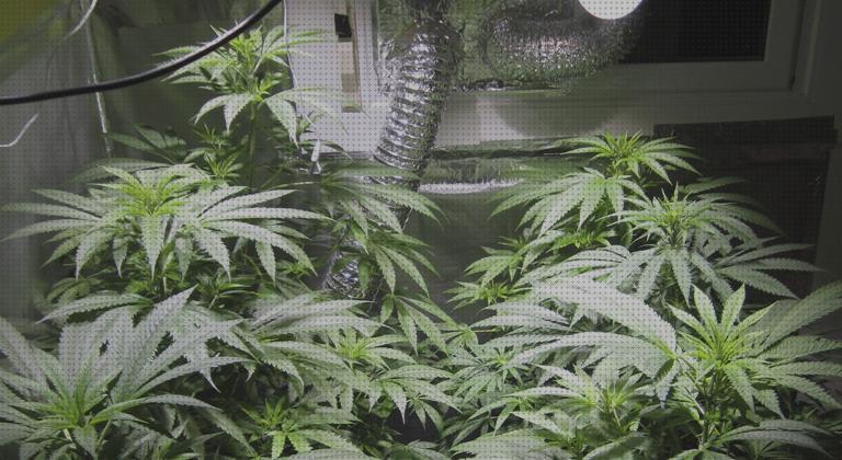 Las mejores marcas de led cob led led cob cultivo