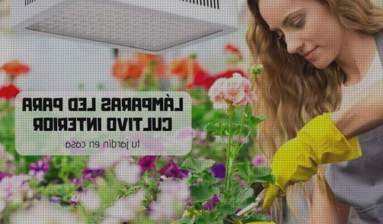 ¿Dónde poder comprar led 2020 led led cultivo 2020?