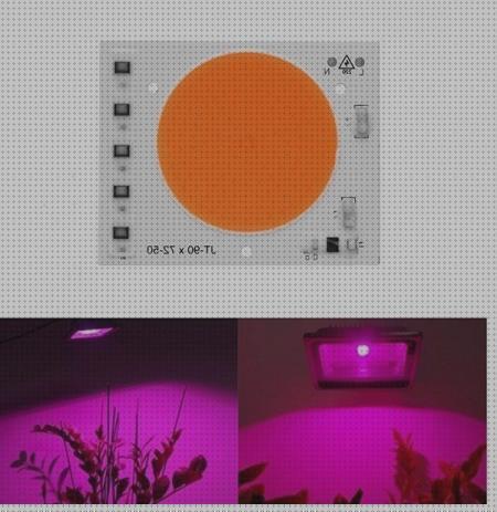 ¿Dónde poder comprar led cob led led grow cob 50w?