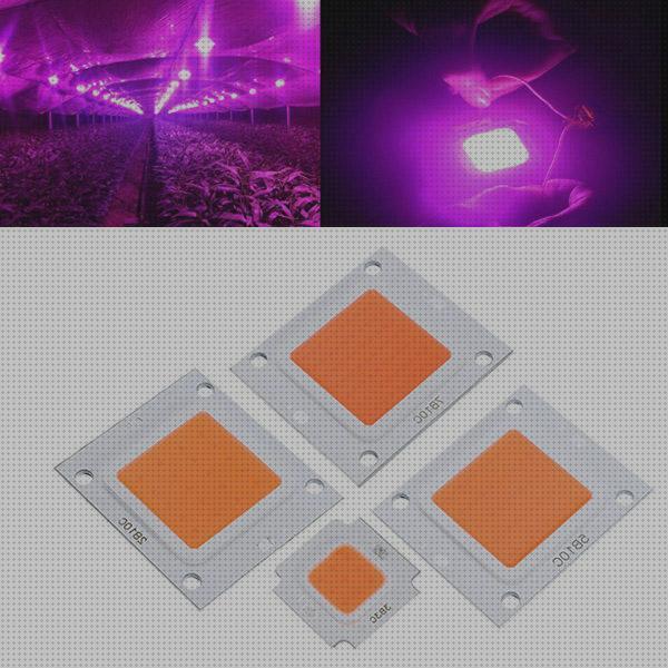 ¿Dónde poder comprar leds cob leds leds cob growth?