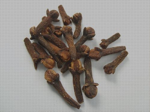 Las mejores marcas de locion antimosquitos antimosquitos locion antimosquitos a base de clavo