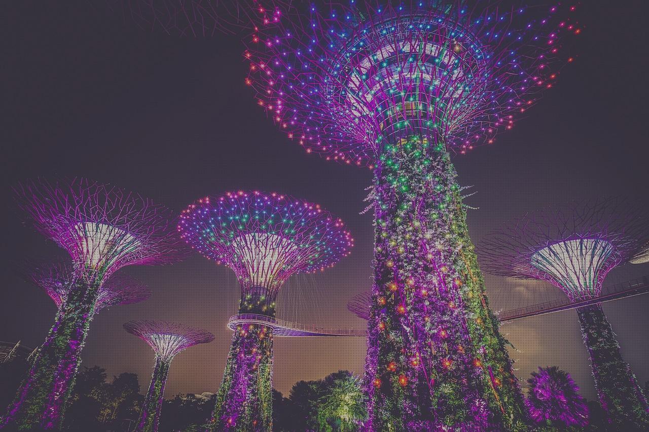 ¿Dónde poder comprar luces antimosquitos antimosquitos luces jardin antimosquitos?