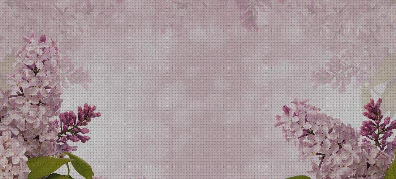 Las mejores marcas de luces antimosquitos antimosquitos luz violeta antimosquitos