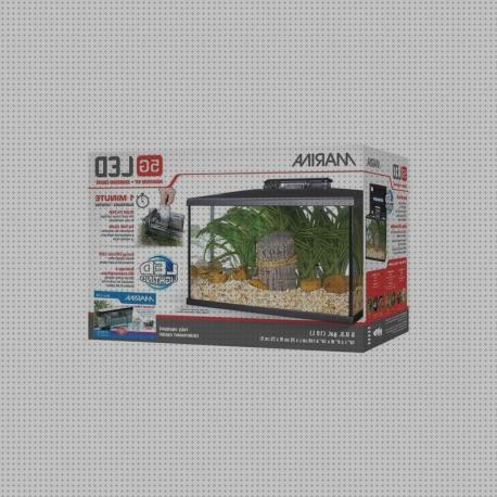 Las mejores marcas de kit led led marina led kit acuario 20 litros