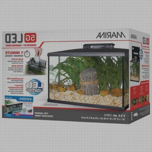 Las 20 Mejores Marinas Led Kit Acuarios 20 Litros