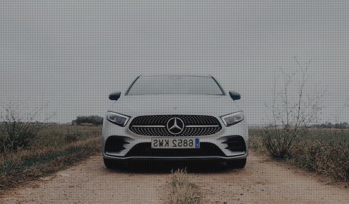 Análisis de las 17 mejores Matrículas De Coches Antimosquitos