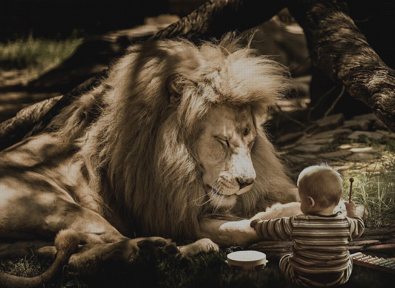 Las mejores hierbabuena antimosquitos Más sobre antimosquitos mechero Más sobre antimosquitos sonata menta de gato antimosquitos