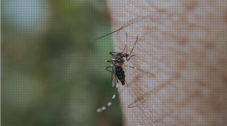 Las mejores Más sobre pulseras antimosquitos con deet pulsera antimosquitos antimosquitos mwjoe pulseras antimosquitos zika
