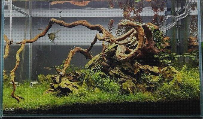¿Dónde poder comprar led 2020 led pantalla led acuario 2020?