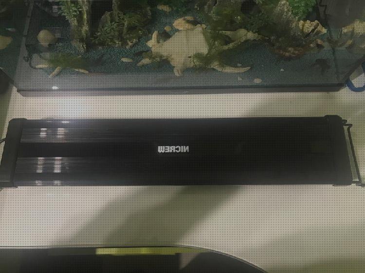 Review de pantalla led acuario 2020