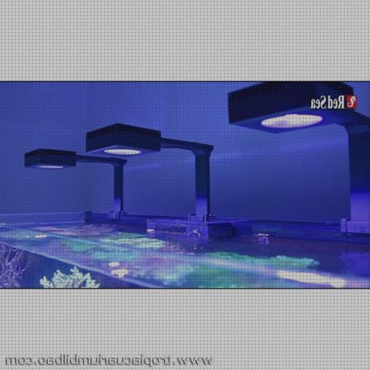 Las mejores pantalla leds leds pantalla leds de red sea