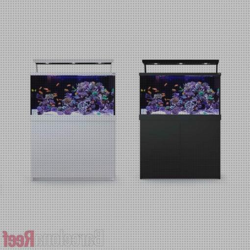 Opiniones de las 20 mejores Pantallas Leds De Redes Seres Acuarios Marinos