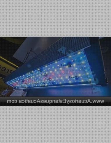 Mejores 24 pantallaacuario leds bajo análisis