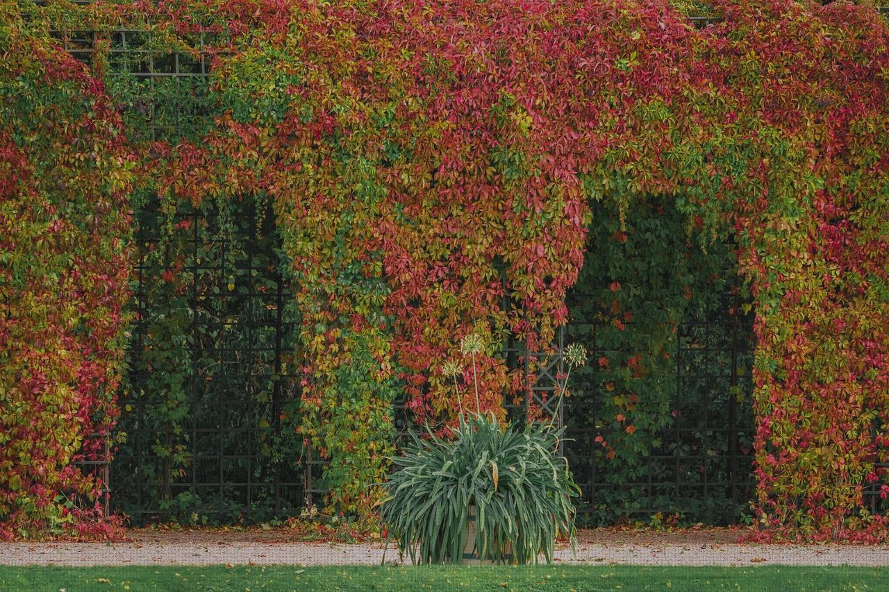 ¿Dónde poder comprar Más sobre antimosquitos lanta Más sobre antimosquitos mechero Más sobre antimosquitos sonata pergola antimosquitos?