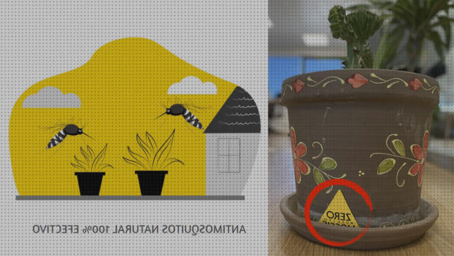 Review de plantas antimosquitos y dengues