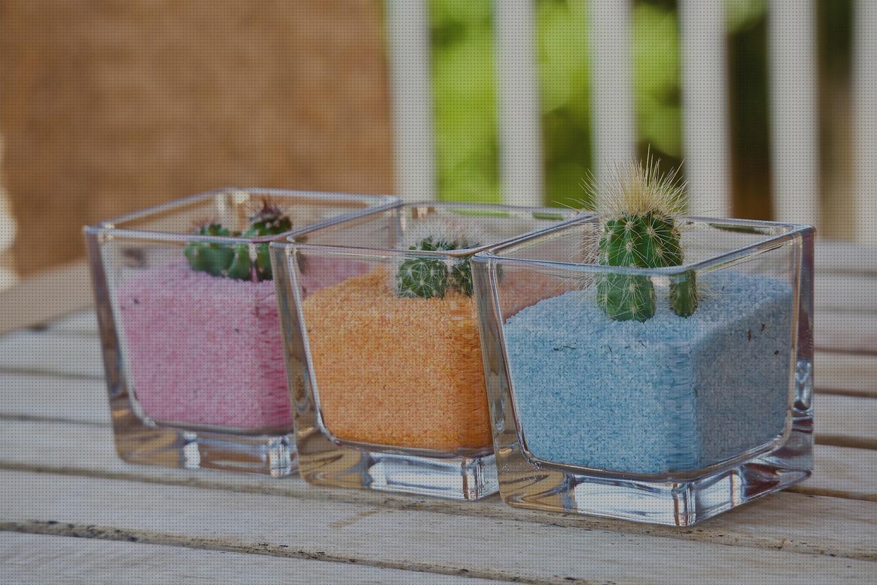 Review de plantas de terraza antimosquitos