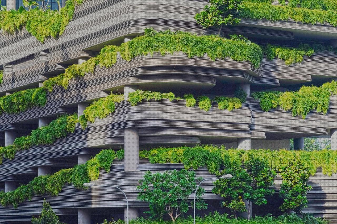 Las mejores marcas de plantas antimosquitos antimosquitos plantas exterior antimosquitos