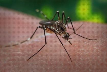 Review de pmd antimosquitos