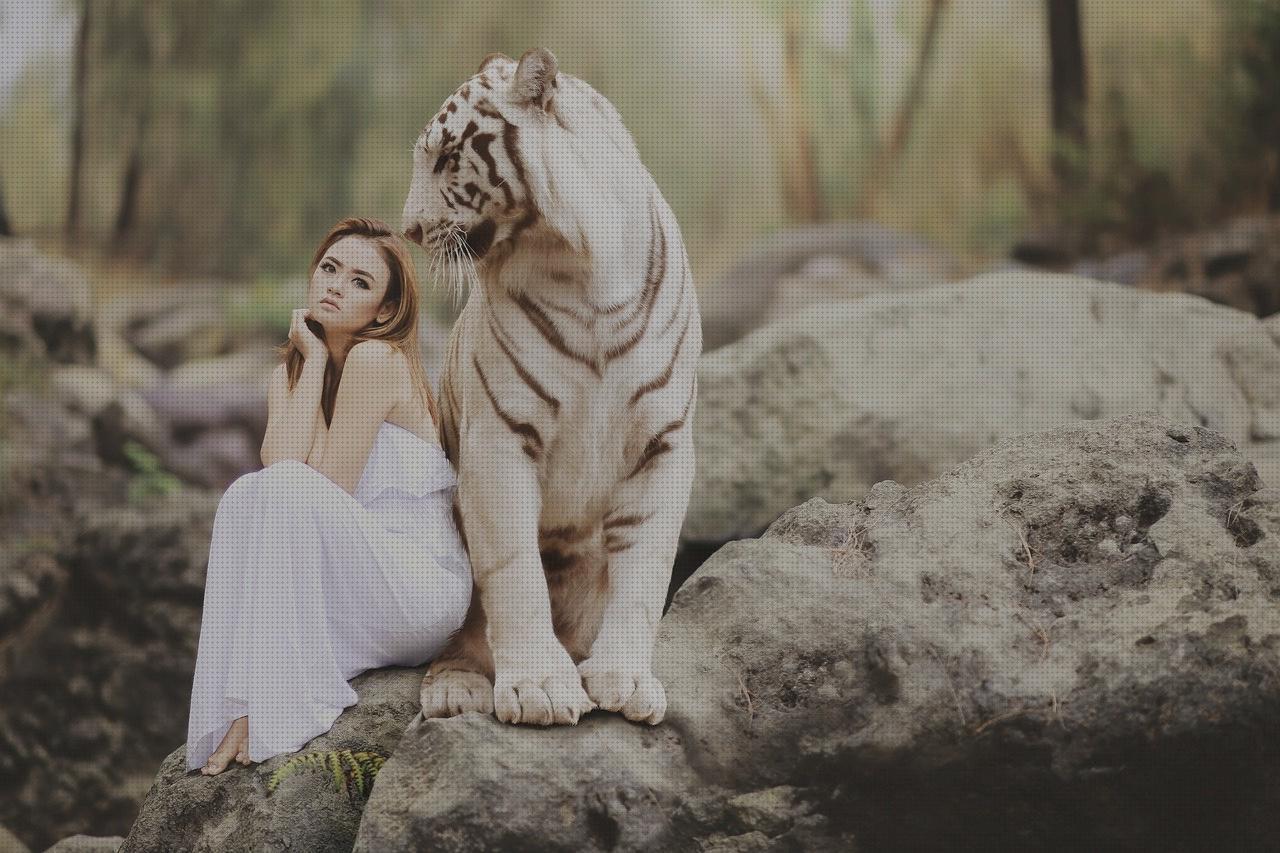 TOP 28 protectores antimosquitos ecos bajo análisis