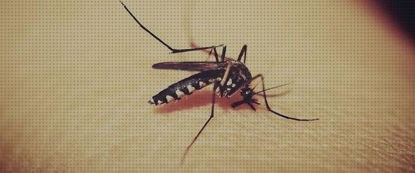 ¿Dónde poder comprar Más sobre pulseras antimosquitos con deet pulsera antimosquitos antimosquitos pulseras antimosquitos niños 2 años?