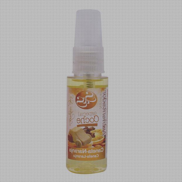 Review de pulverizador antimosquitos coche