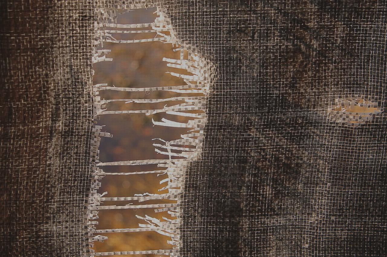 Las mejores marcas de antimosquitos raid antimosquitos raid antimosquitos niños