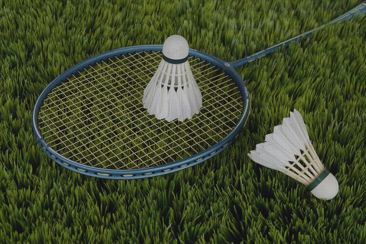 Las 8 Mejores raquetas antimosquitos recargables