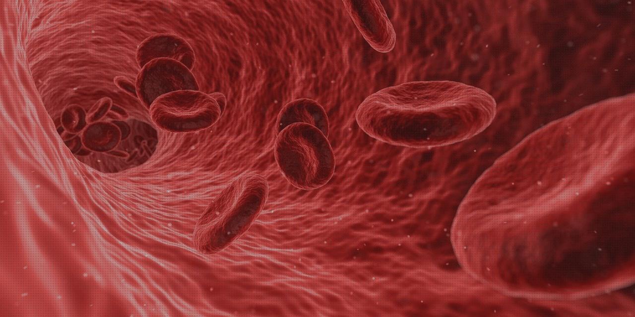Las mejores antimosquitos red antimosquitos red antimosquitos cuna