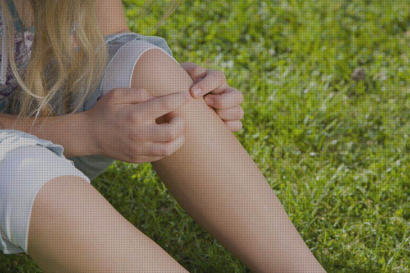 Review de los 21 mejores soluciobes antimosquitos del mundo
