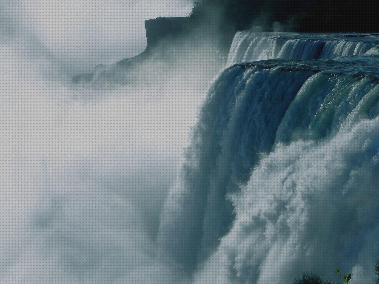 Las mejores antimosquitos bayer antimosquitos spray antimosquitos bayer